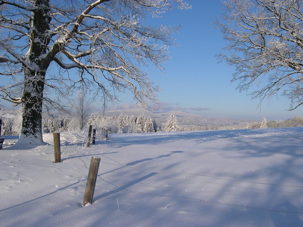 Luxury Apartment In Sumava Mountains Kristanov Eksteriør bilde